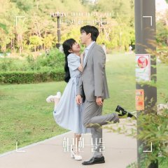 Splendid Days Korean Drama(2025) photo