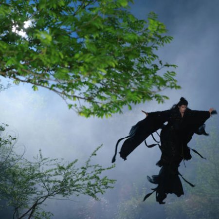 Veil of Shadows (2026)