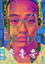 Funky Freaky Freaks Korean Movie(2025) photo