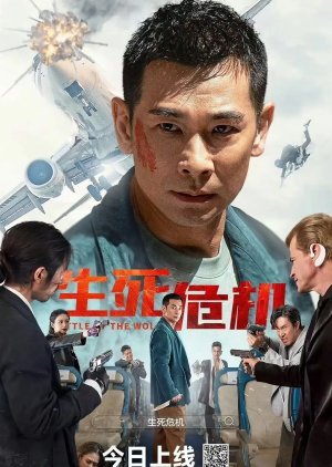 Battle of the Wolf (2025) poster