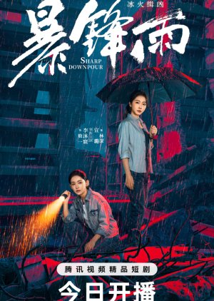 Sharp Downpour (2026) poster