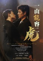 A Mountain Can Hold Two Tigers Chinese Drama(2026) photo