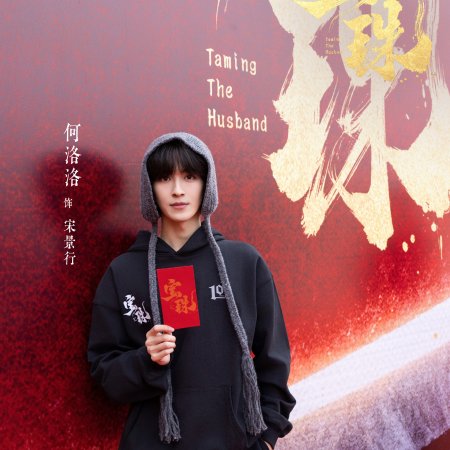 Taming the Husband ()