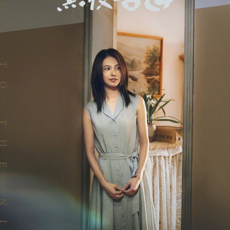 Light to the Night (2026)