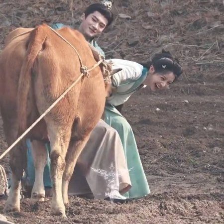 Where the Mask Ends ()