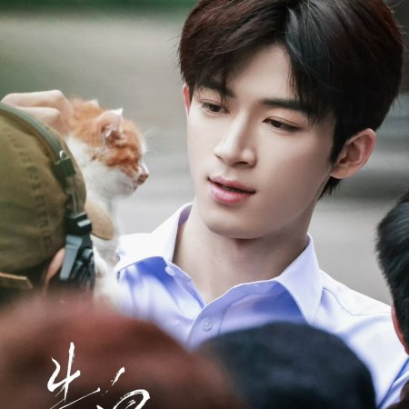 A Love Confession ()