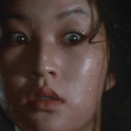 The Story of a Nymphomaniac (Secret) (1975)