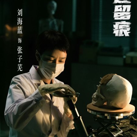The Truth (2026)