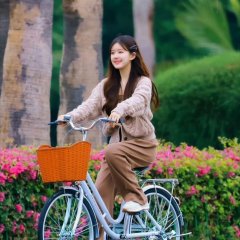 Hidden Love Chinese Drama(2023) photo