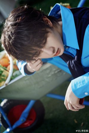 15065818