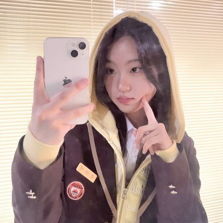 Agent Kim Reactivated (2026)