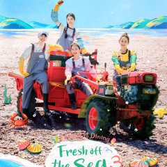 Fresh off the Sea Season 3 Korean TV Program(2026) photo