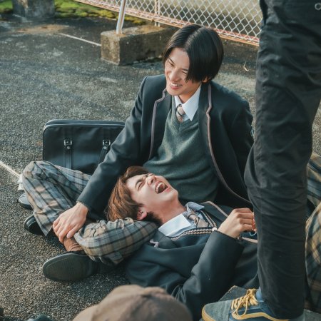 Contrast (2026)