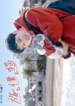 Tabi to Boku to Neko Japanese Drama(2026) photo