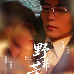 Grow Freely Chinese Drama(2025) photo