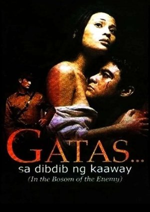 In the Bosom of the Enemy (2001) poster