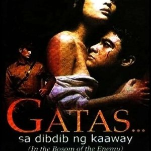 In the Bosom of the Enemy (2001)