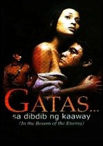 In the Bosom of the Enemy Philippines Movie(2001) photo