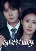 Break Free Chinese Drama(2026) photo