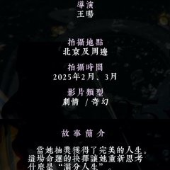 The Choice Chinese Movie(0000) photo