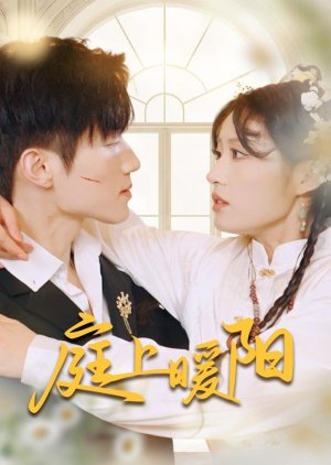 Ting Shang Nuan Yang poster