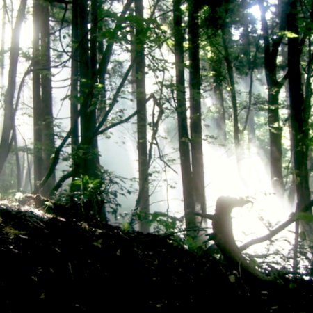Wasao (2011)