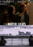 Water Lilies