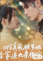 Si Bao Zhen Meng, Bei Die Di Quan Jia Zhui Jiu Tiao Jie Chong Chinese Drama(2025) photo