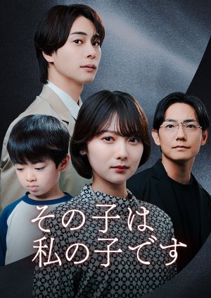 Stolen Son: A Mother's Revenge (2025) poster