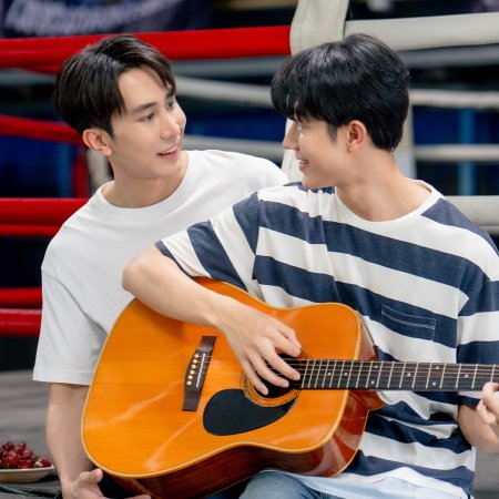 Knock Out Special Episode (2025)