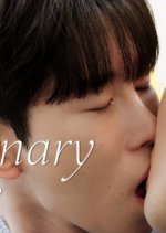 Ordinary Love Korean Drama(2025) photo
