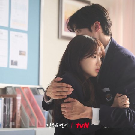 Head over Heels (2025)