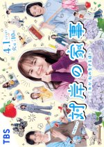 Taigan no Kaji: Kore ga, Watashi no Ikiru Michi! Japanese Drama photo