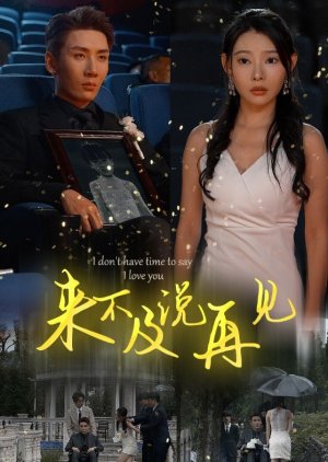 I Don't Have Time to Say I Love You poster