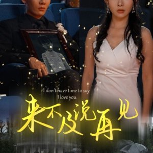 I Don't Have Time to Say I Love You (2024)