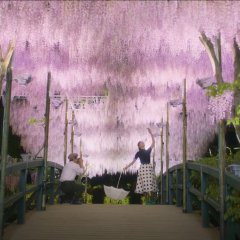 Tonight, at Romance Theater Japanese Movie photo