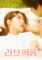 Love Perfume Korean Drama photo