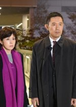 Kasouken no Onna: New Year Special Japanese Drama photo