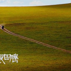 Wolf Totem Chinese Movie photo