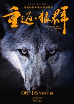 Return to the Wolves Chinese Movie photo