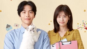 Amyy's Top 3 Dramas of 2017!