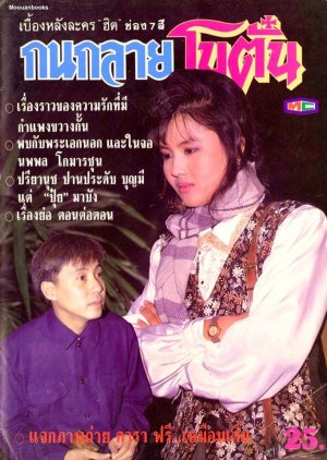 Kanok Lai Botan (1990) poster