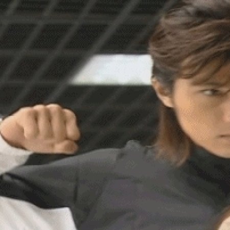 Kamisama no Boto  (2013)