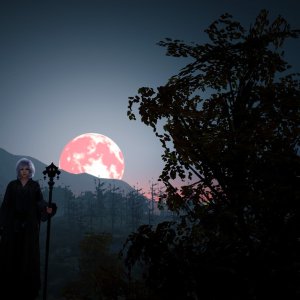 Kamisama no Boto  (2013)