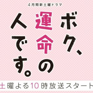 Kamisama no Boto  (2013)