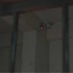 Breed Korean Movie(2021) photo