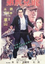 The Brothers Hong Kong Movie(1979) photo