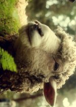 The Sheep Story Japanese Movie photo