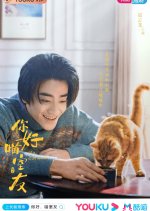 My Catmate Chinese Drama photo