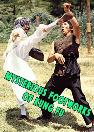 Mysterious Footworks of Kung Fu (1978) poster
